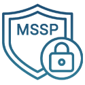 Managed Security Service Provider (MSSP)